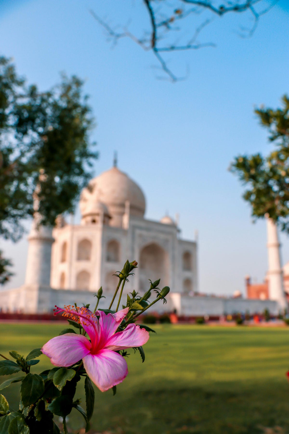 Real Taj Mahal Experiences. Taj Mahal Experiences Introduction: | by ...