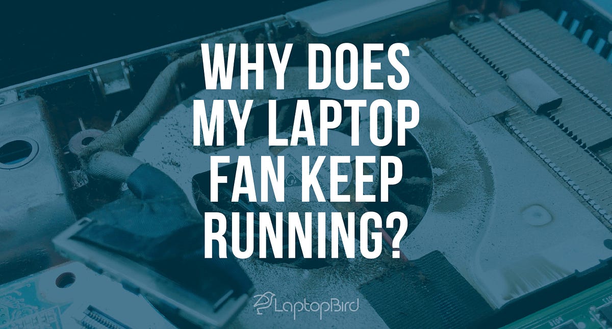 Why Does My Laptop Fan Keep Running Continuously? by LaptopBird Medium