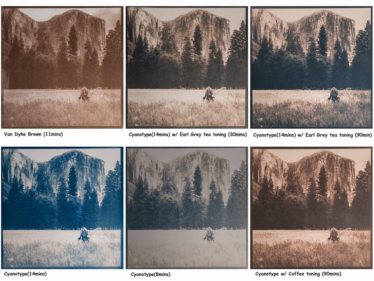 An Introduction to Photography Techniques: Cyanotype, by Eva  Crawford-McKee