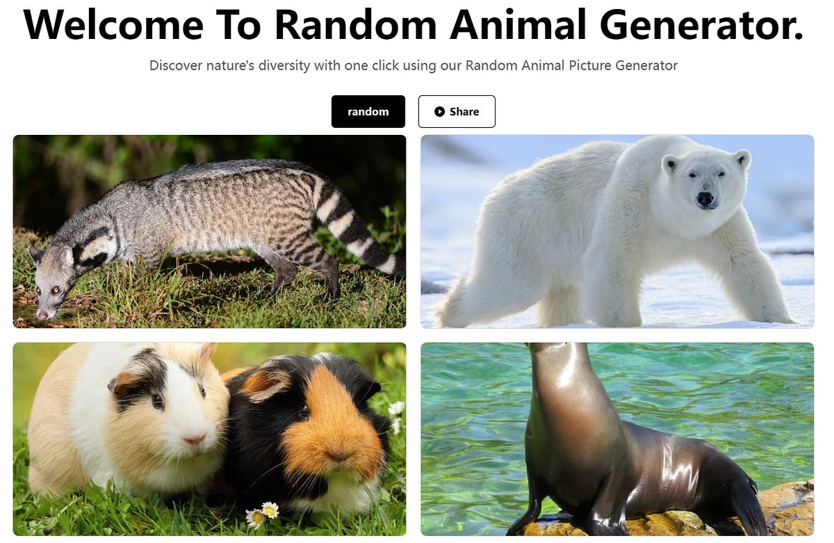 my first website animalgenerator.co — Generate your random animal ...