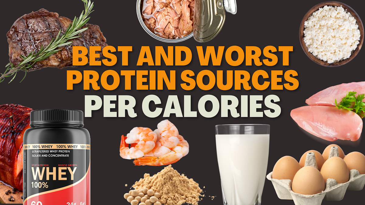 What Foods Have Whey Protein: Top Delicious Sources Revealed