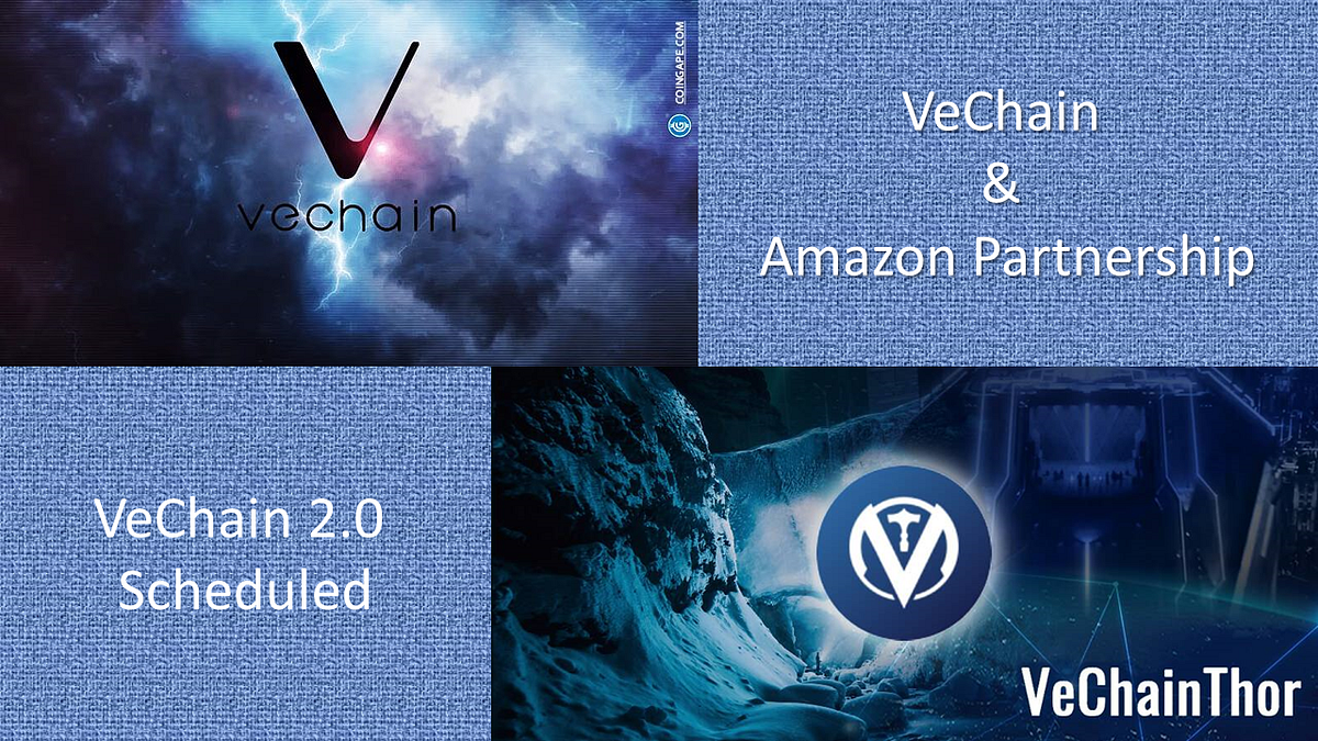 A “Crypto Winter” Thawing Update for the Cryptocurrencies VeChain (VET) &  VeThor (VTHO) | by Stephen Dalton | DataDrivenInvestor