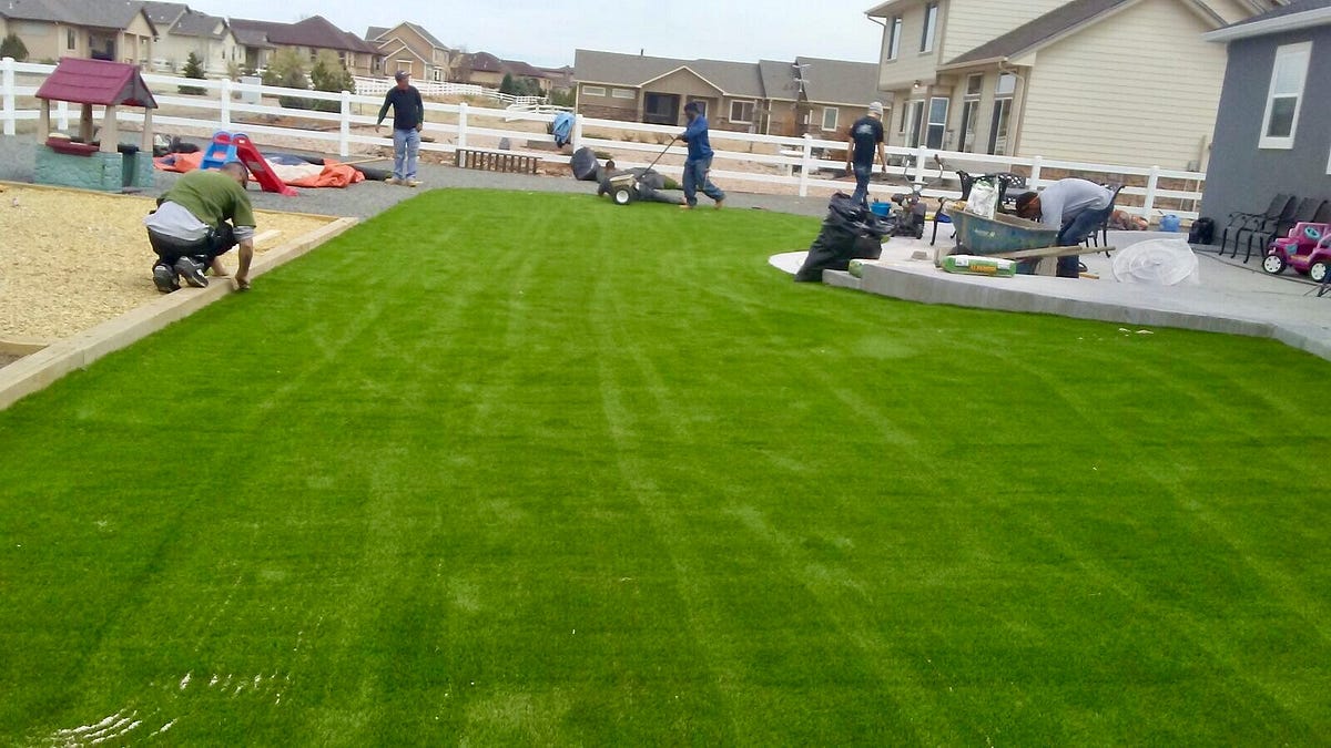 What Are The Best Artificial Grass Cleaners For Pets? by Miasara Medium