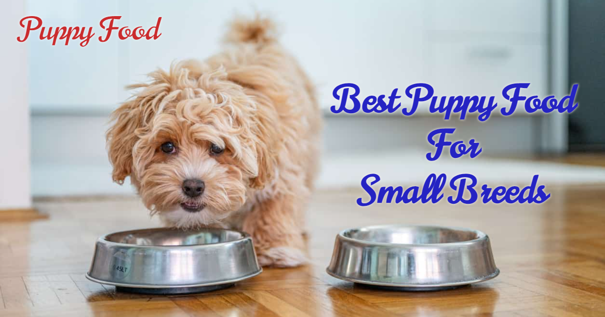 Best Food for Puppies of Small Breeds Universe For Pets Medium