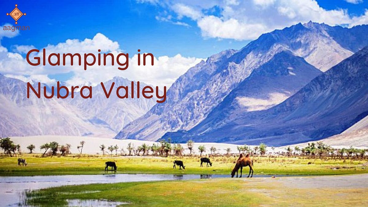 5 Reasons to do Glamping at Nubra Valley, by Aagmanindiatourtravel, India  Tour and Travel