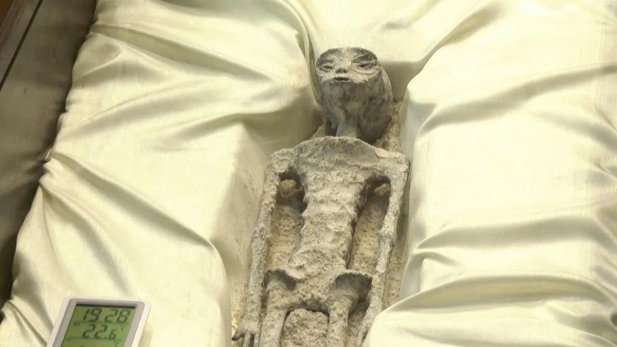 This is the Alien Found in Mexico by Daniel Mesa Sep, 2023 Medium
