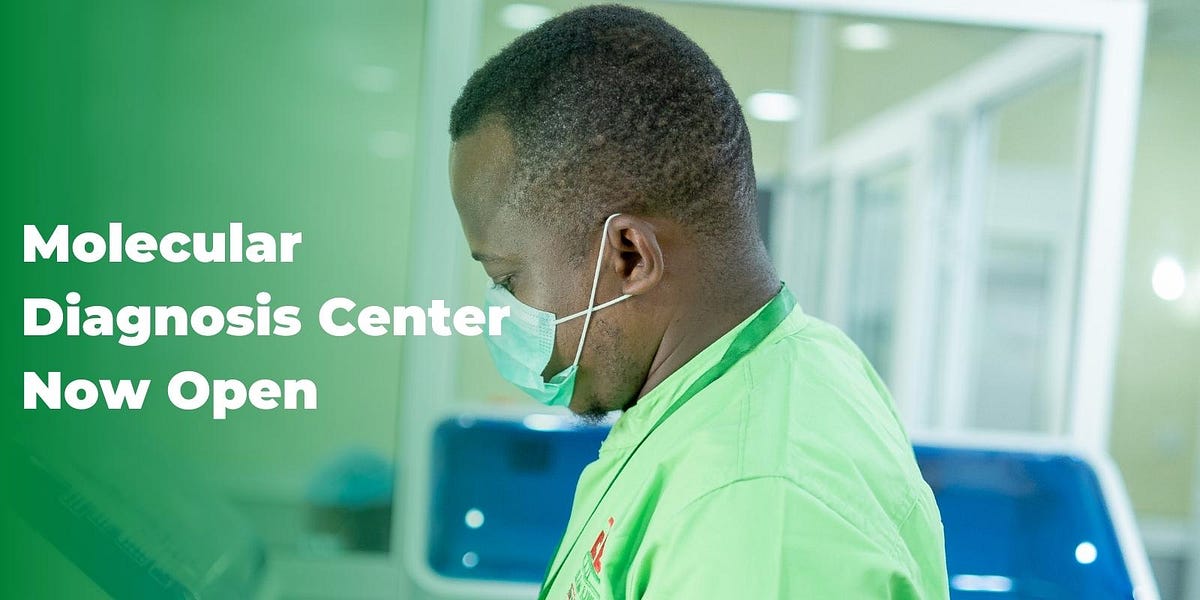 Understanding Kidney Function Tests: Importance and Accessibility in 