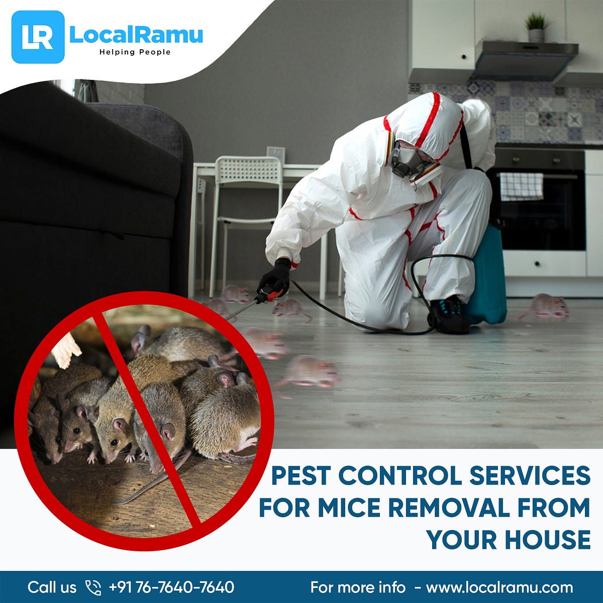 How to Remove Mice from Your Home by LocalRamu Medium