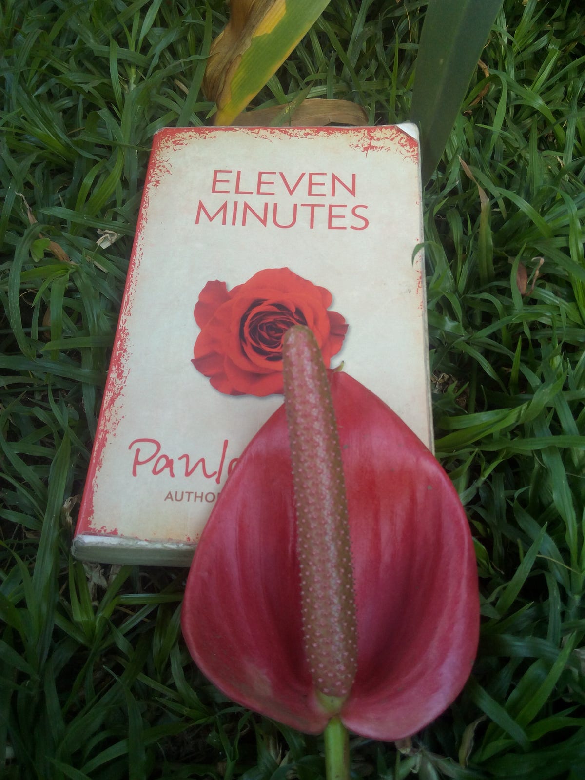 BOOK REVIEW | 11 MINUTES | PAULO COELHO | by kelvin karanja | Medium