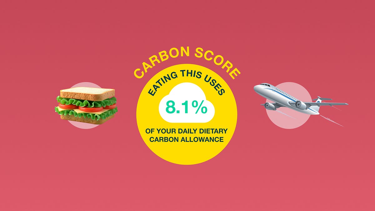 The carbon score: Environmental stewardship or selling virtue as a commodity?