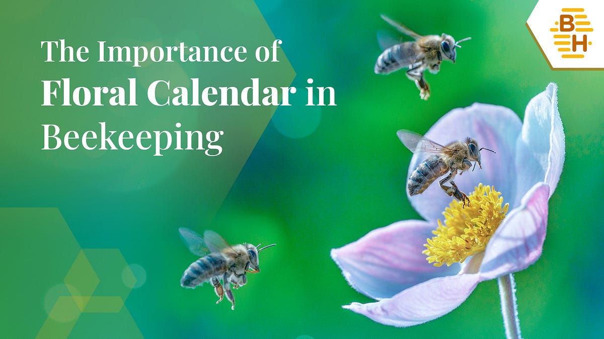 The Importance of Floral Calendar in Beekeeping by Beehively Group