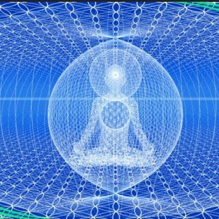フィールド響き合う生命・意識・宇宙 : the zero point field フィールド響き合う生命・意識・宇宙 : the zero point field