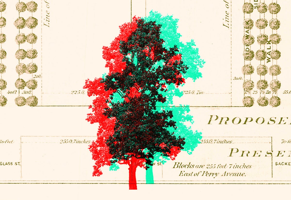 Botanical Sexism. “Ever heard about tree sexism?” Hushed… by Ava