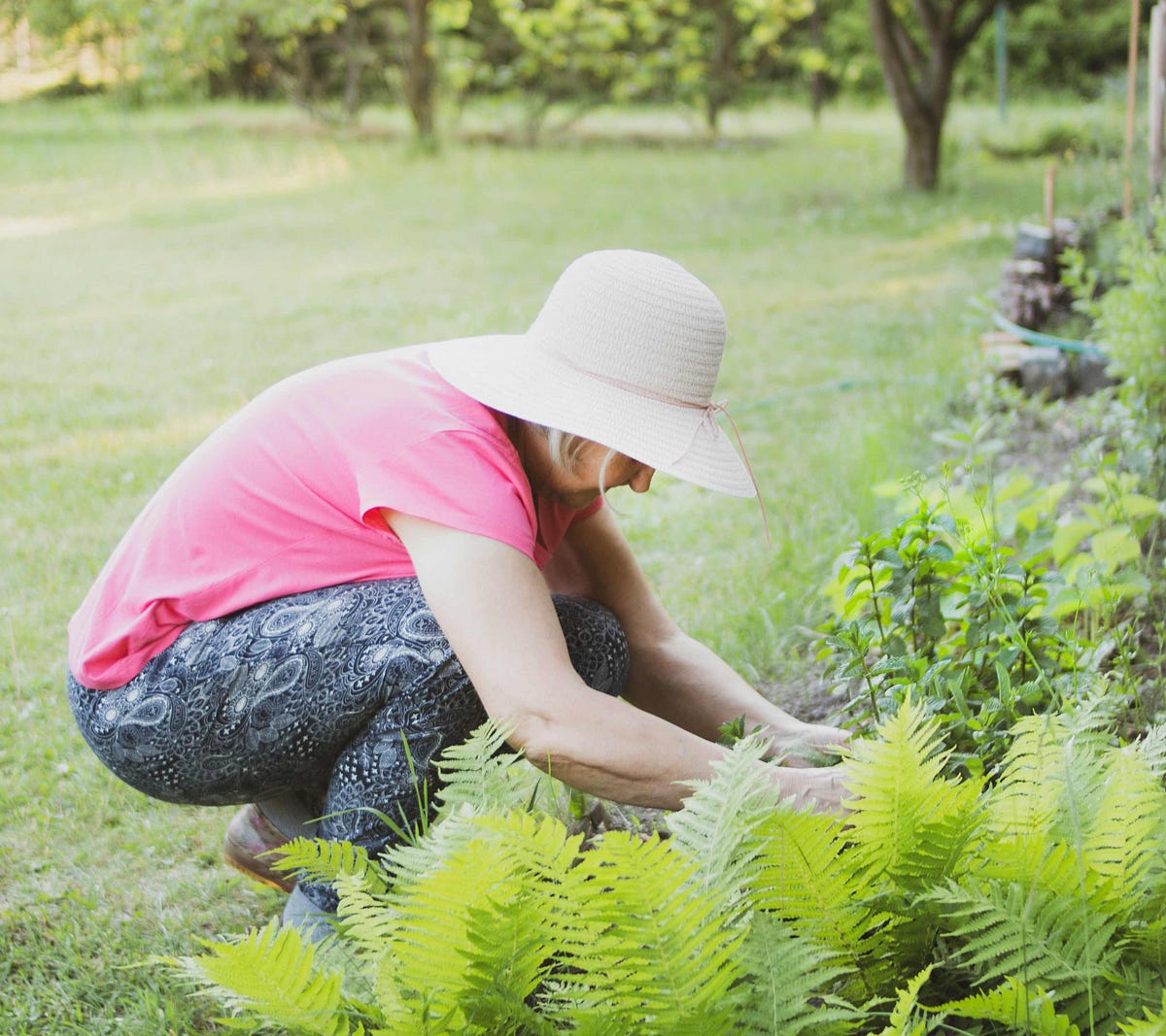 Some People Talk to Their Plants, My Plants Talk to Me by Anne