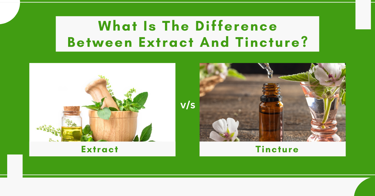 What Is The Difference Between Extract And Tincture? Sheas Apothecary