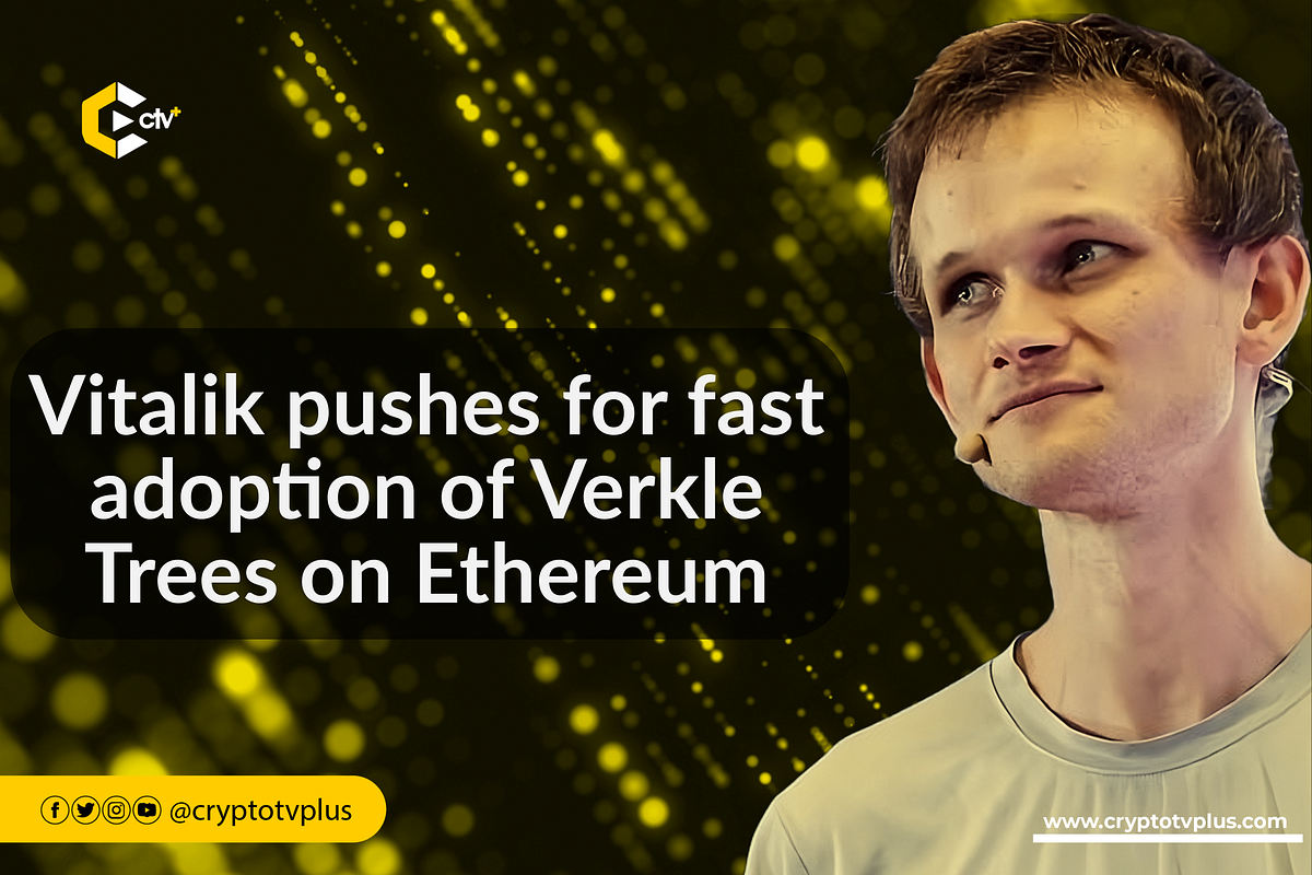 Preview image for Verkle Trees in Blockchain and Solidity