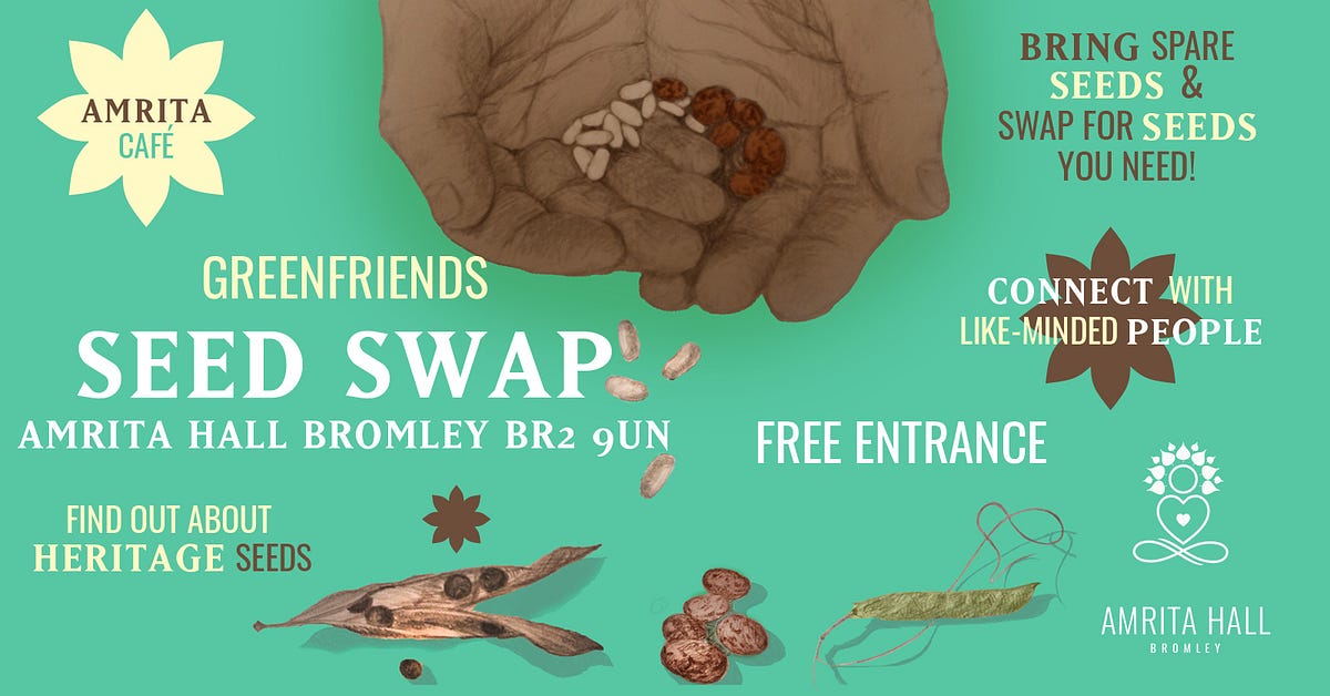 Open Pollinated Seeds vs F1 Hybrid / GM Seeds — why it matters. by