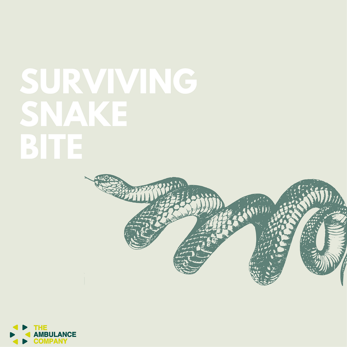 SURVIVING A SNAKE BITE. Usually, After A Bite From A Venomous… | By The ...