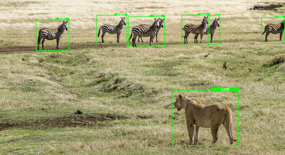 Understanding mean Average Precision for Object Detection (with Python Code)  by shubham 
