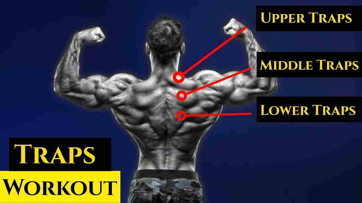 Dumbbell Trap Workout: Targeting Lower, Mid, and Upper Traps | by Fitthour  | Medium