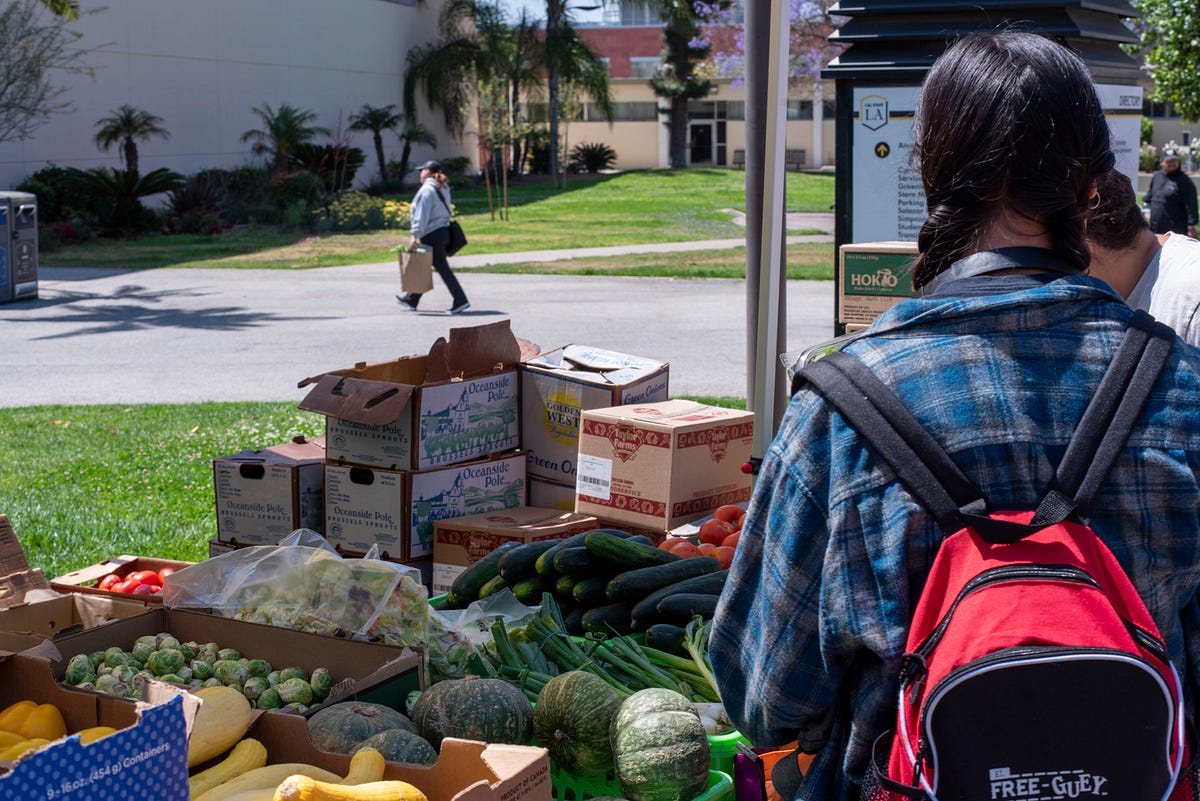 Addressing College Student Food Insecurity and Hunger on Campuses by Student LunchBox Medium