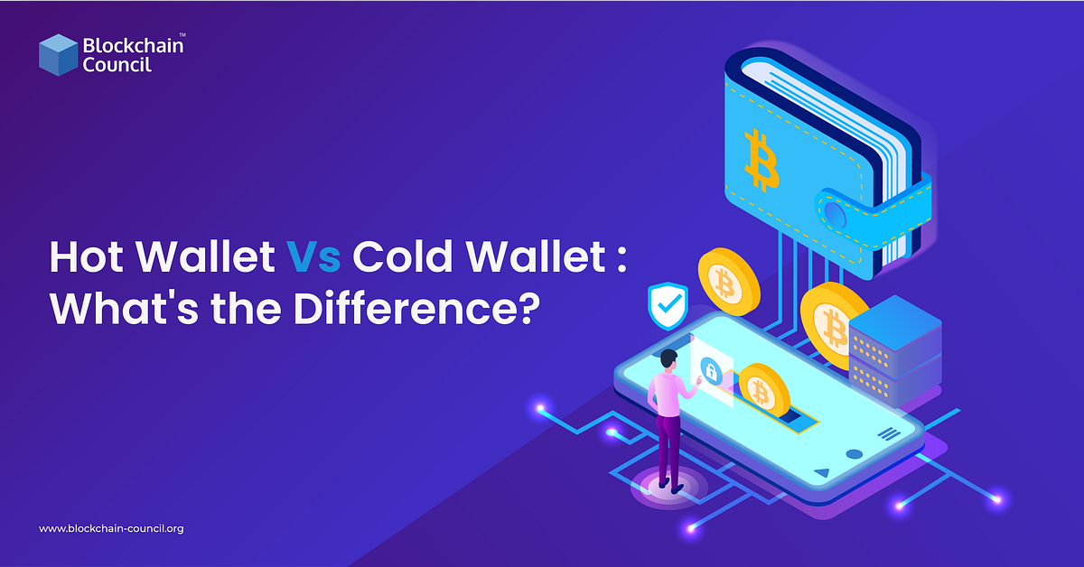 Hot Wallet vs Cold Wallet What’s the Difference? by Rashmeet Kaur