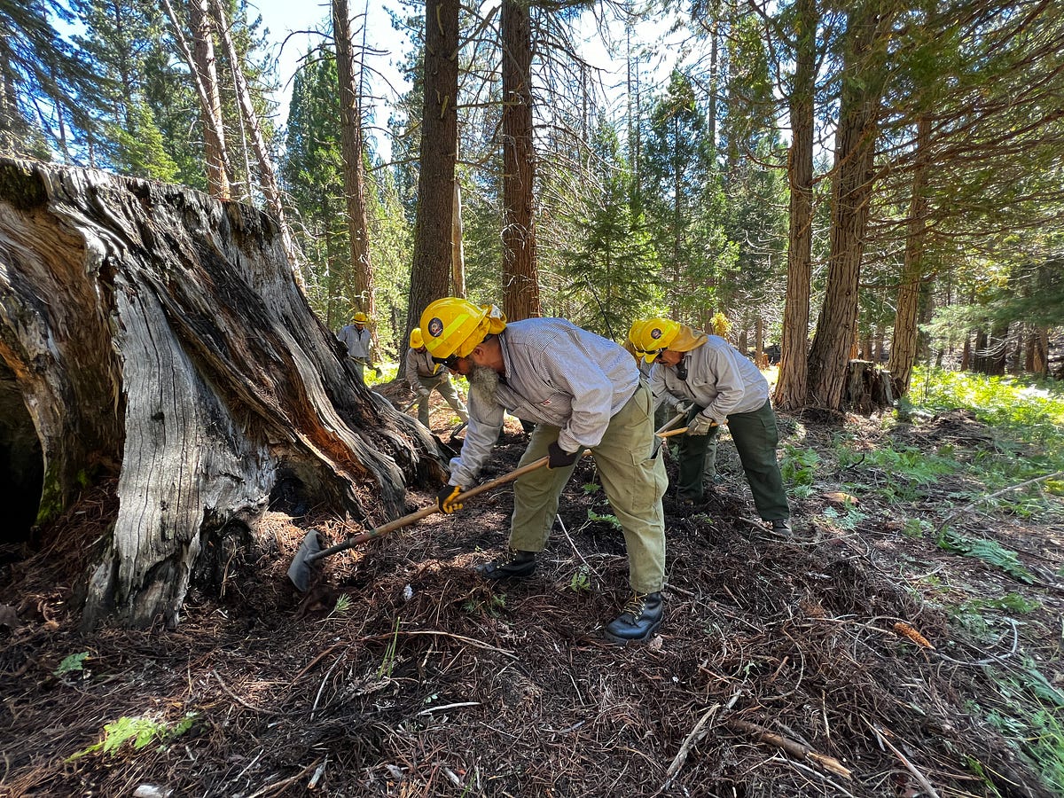 Kern River Camping Near Trail Of 100 Giants Fairview Campground