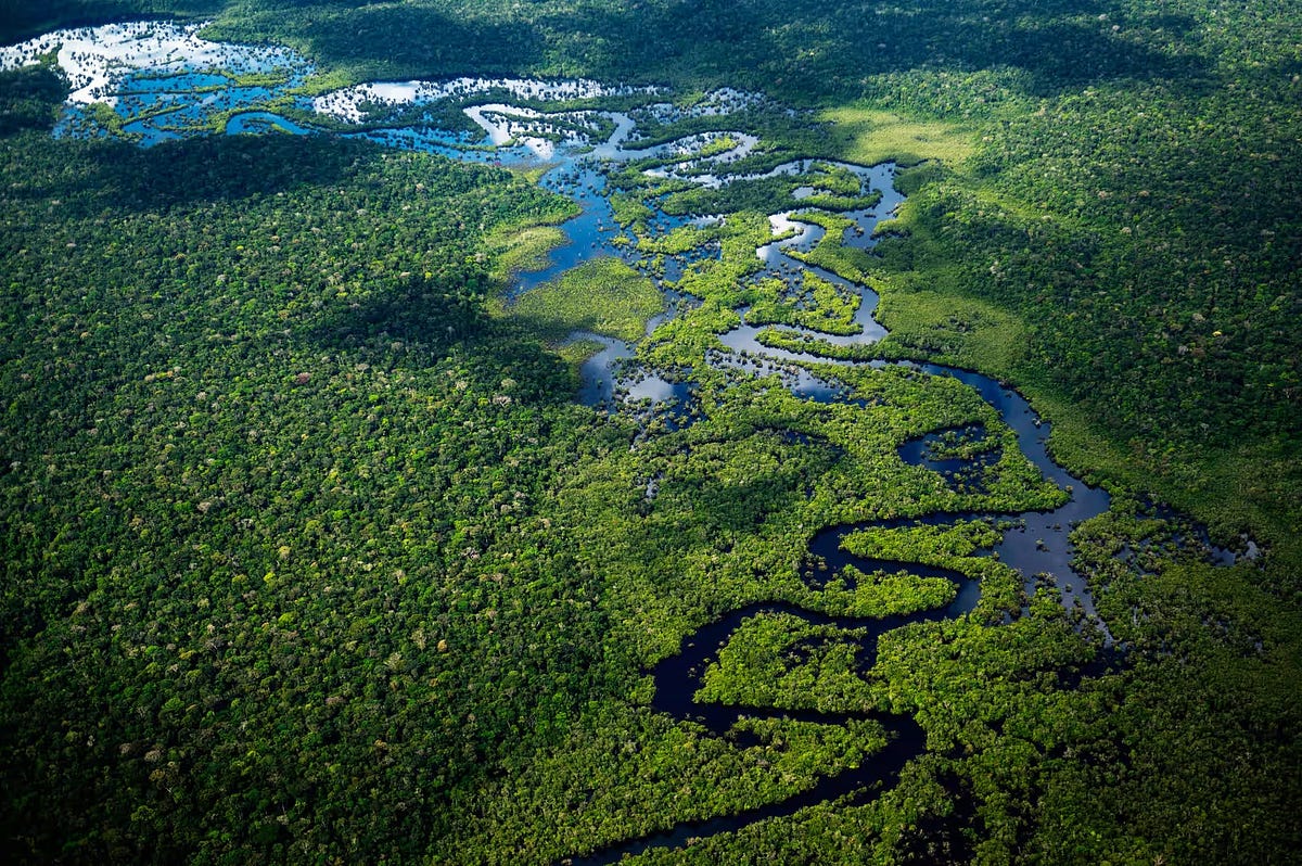Brazil Takes Steps To Protect Environment On Amazon Day By Americas