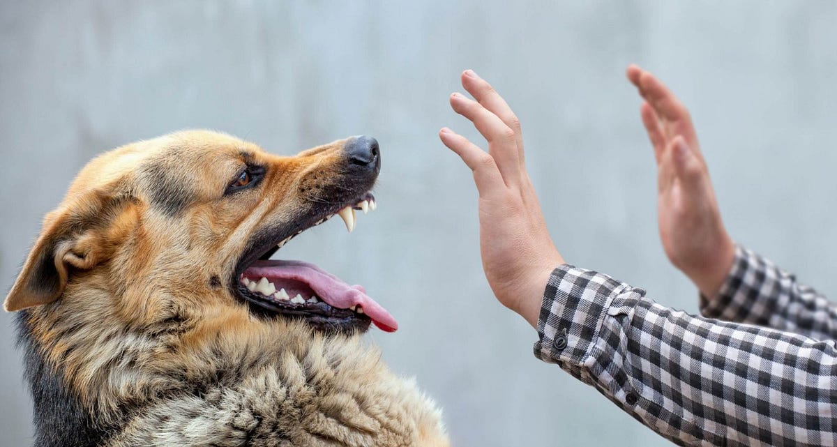 Dog Bite Claims and Homeowners Insurance Ty J. Young, Inc. Wealth