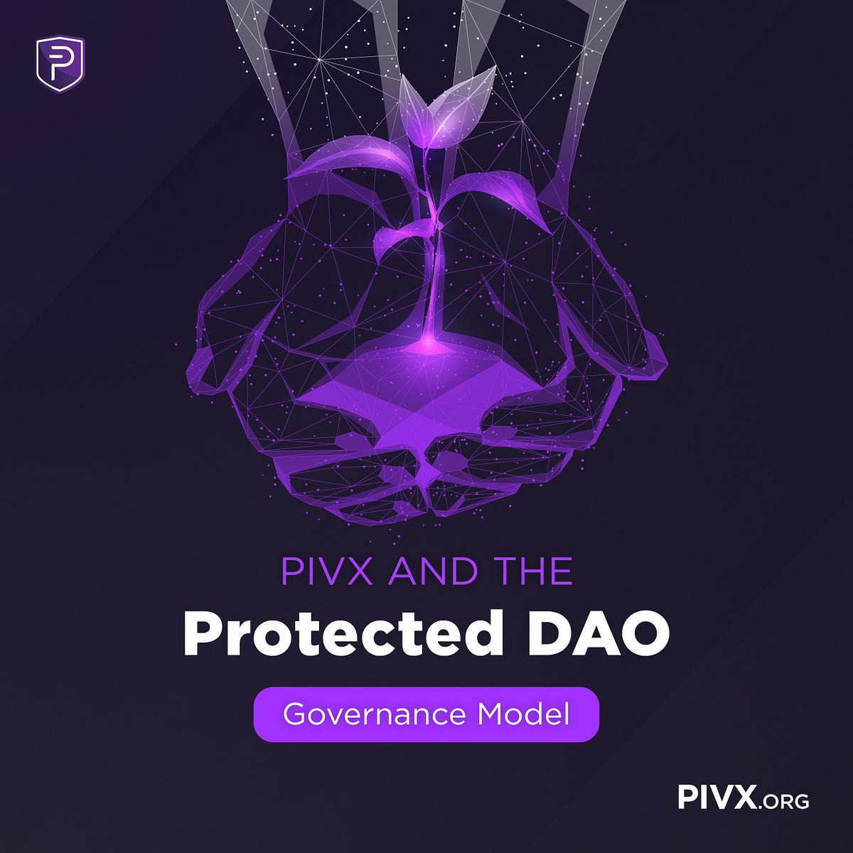 PIVX and the Protected DAO. PIVX is only one of a handful of… | by Ryan ...