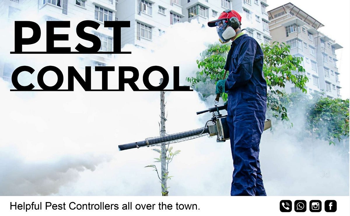 Why need an effective pest control Hammersmith? by Meridapestc Medium