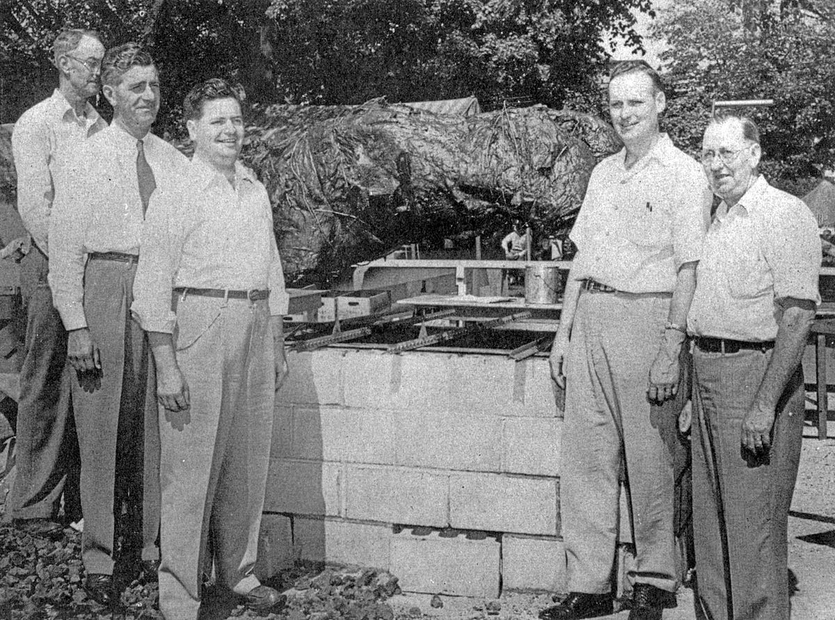 Festival pays homage to days when Illinois prime beef was king by