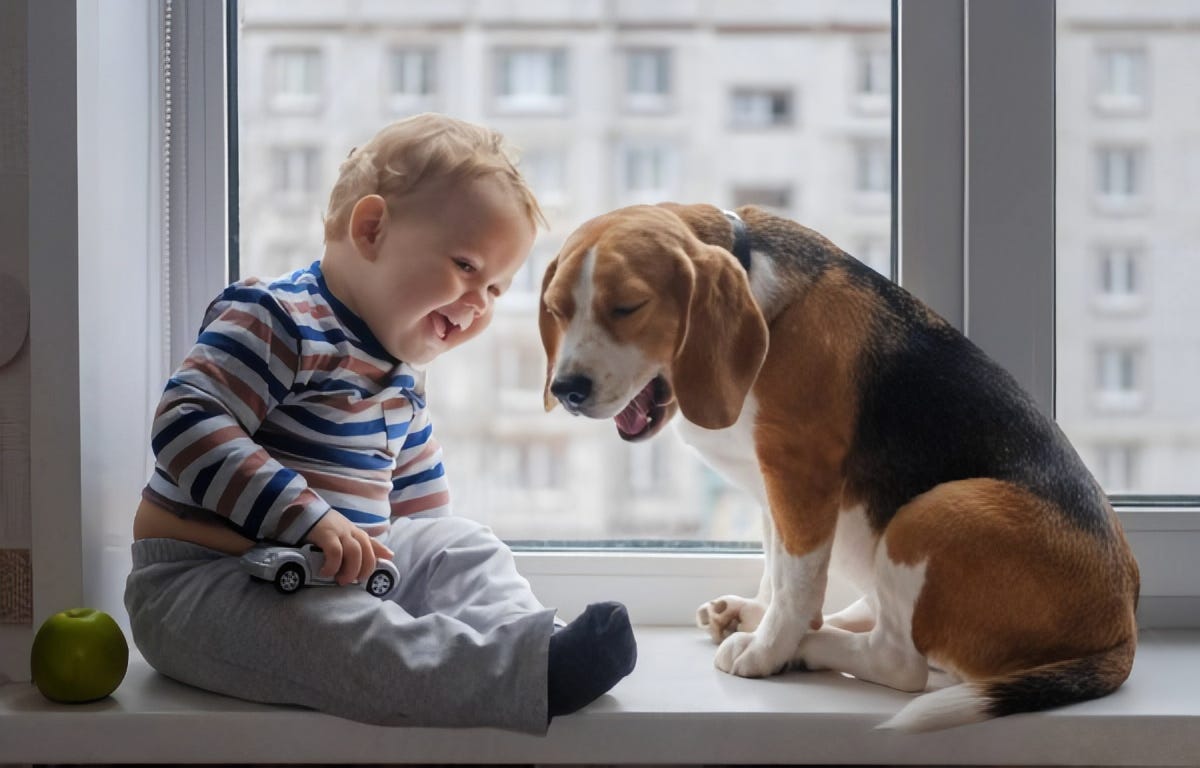 Top 15 Best Dogs For Apartment Living Love Of A Pet Medium
