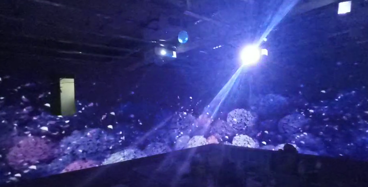 Step into the Future Captivate Your Audience with 2024’s Best