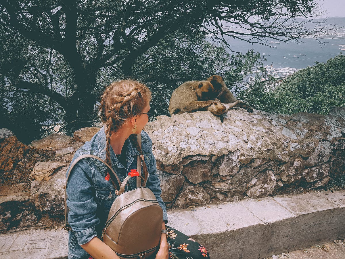 GIBRALTAR IN 1 DAY!. Rising high as an indomitable peak at… by