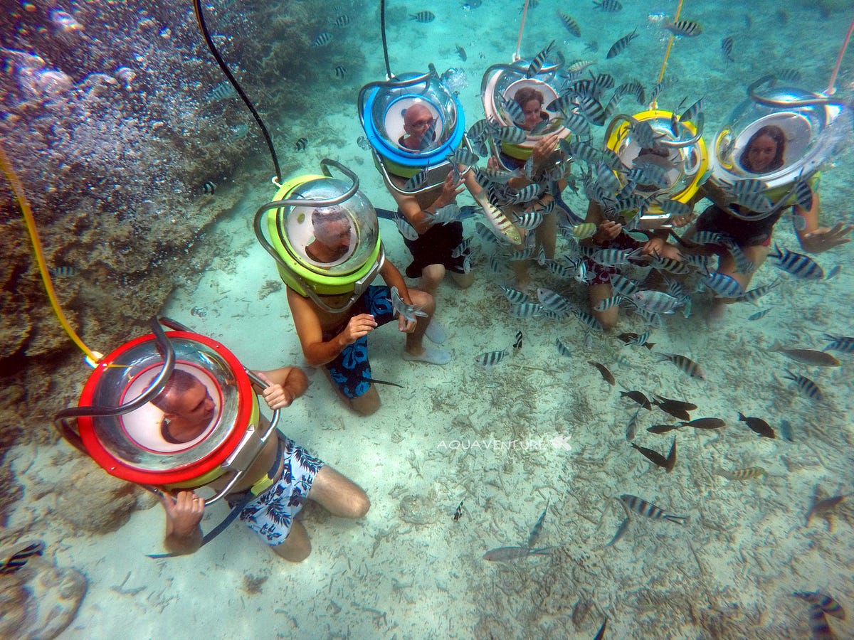 Explore the Belle of Marine Life with Helmet Diving in Mauritius by