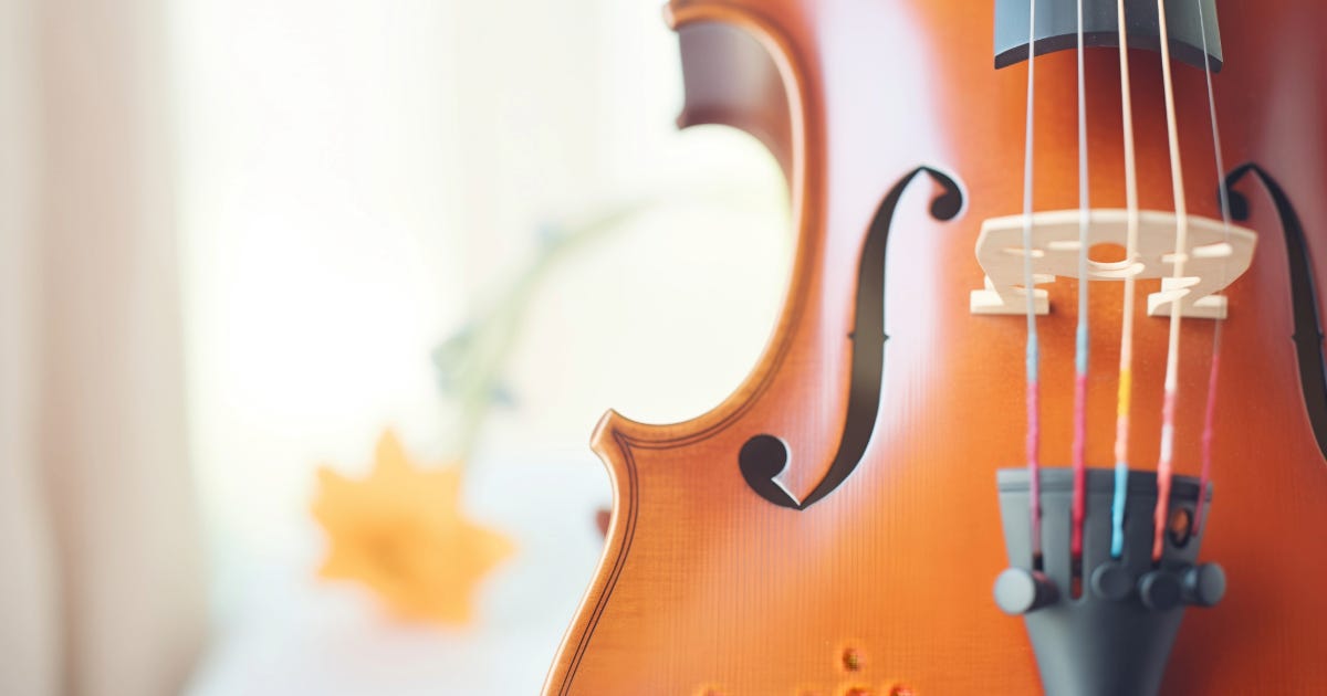 Best Violin Strings For Professionals by William Dane Feb, 2024