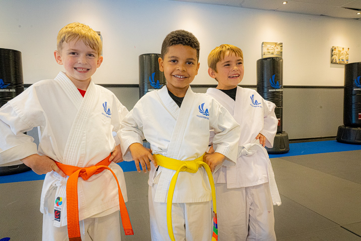 Karate Is Not Only Beneficial For Adults But Also For Kids How Come karate-is-not-only-beneficial-for-adults-but-also-for-kids-how-come