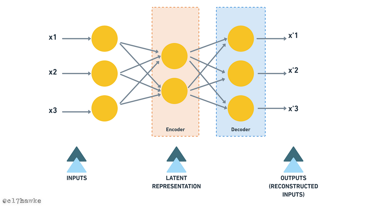 Introduction to Autoencoders [Theory and Implementation] | by Sunny ...