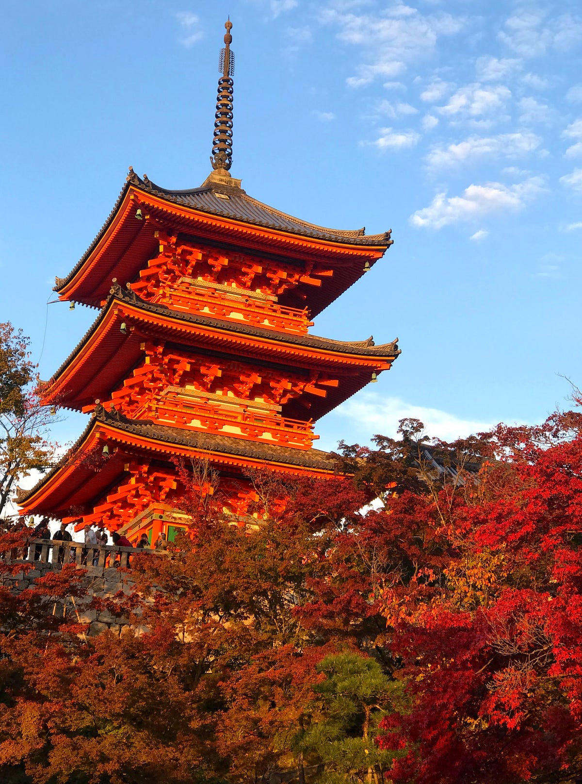 Kōyō — The Autumnal Japanese Word English Needs | by Diane