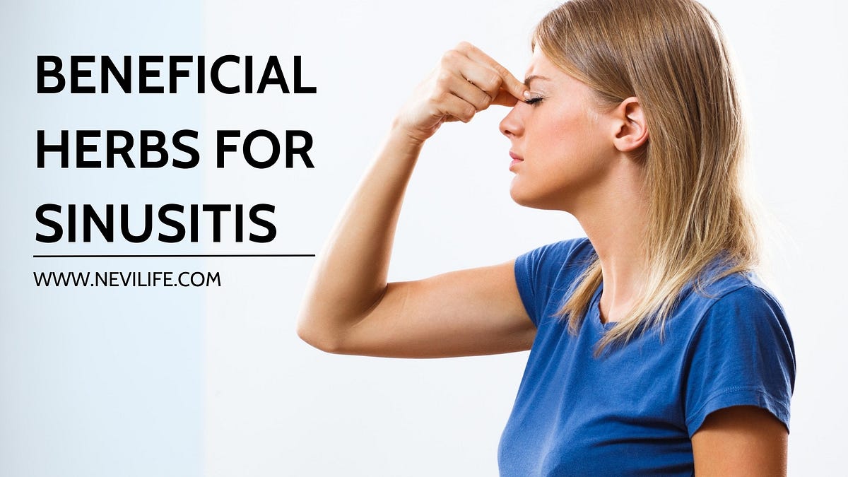 sinusWhat are the Beneficial Herbs for Sinusitis by Glesspena