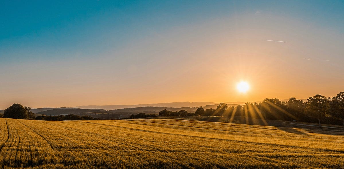 Rumi’s Most Powerful Ideas. They Reveal What You Secretly Want From Life
