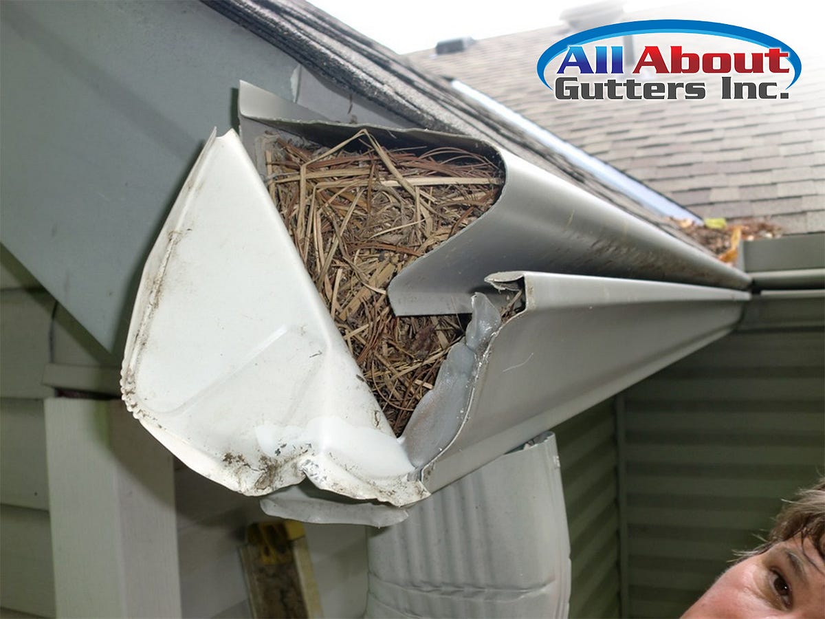 Systems To Prevent Birds From Nesting In Storm Channels by All About