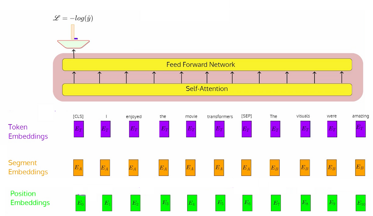 Bidirectional Encoder Representations from Transformers (BERT) | by ...