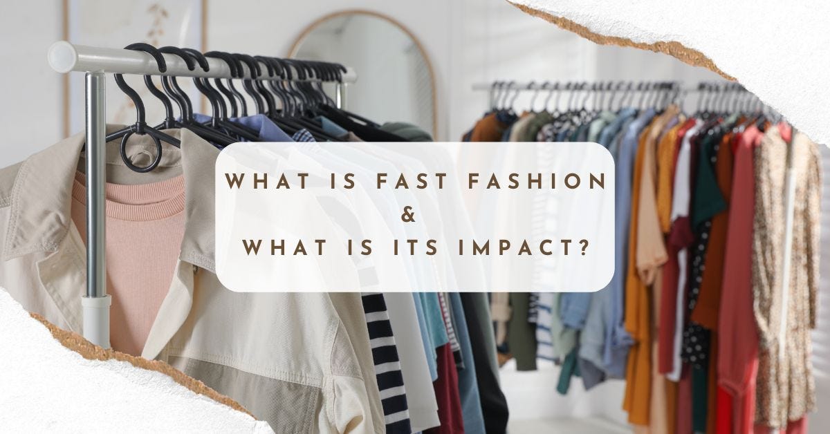 What Is Fast Fashion And What Is Its Impact? | by Maria Pastor Paz ...