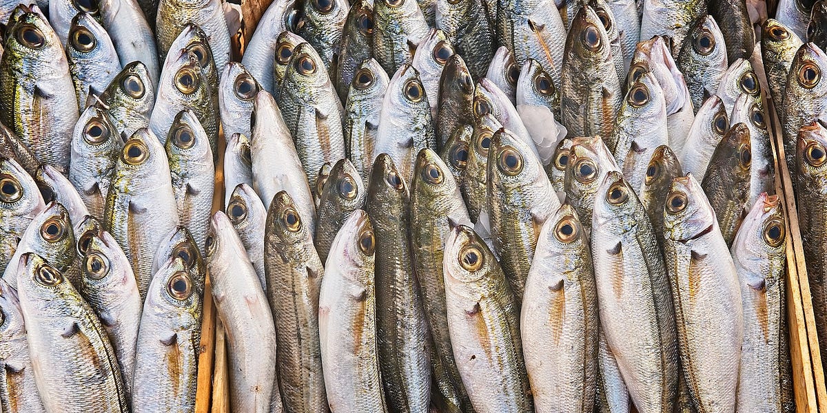 Selenium. “Sardines. That’s what you need to… by Sarah Keenihan PhD