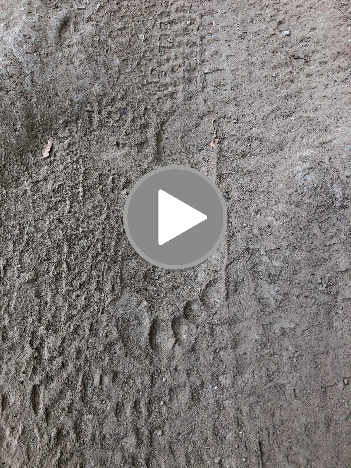 You Can Only See Your Footprints Looking Back | by Greg Horn | Medium