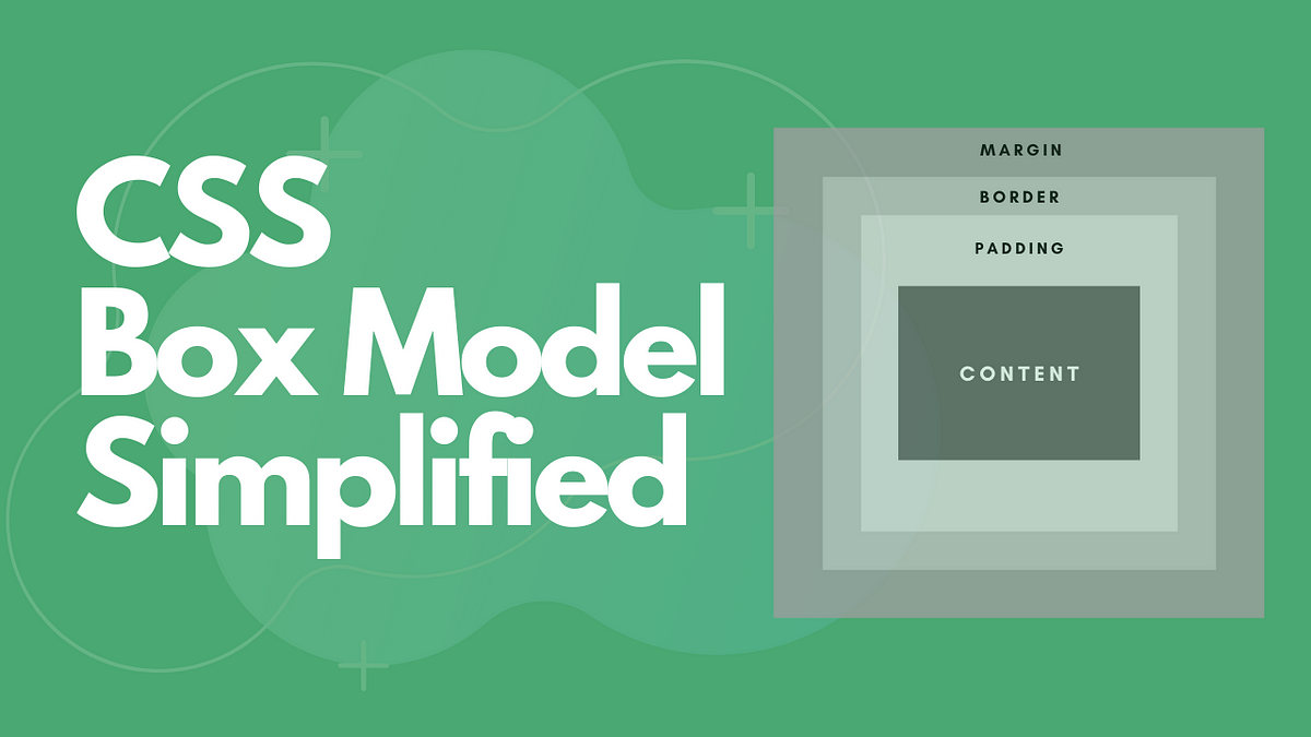 CSS Box Model Explained. Find out the way elements on a page are… | by ...