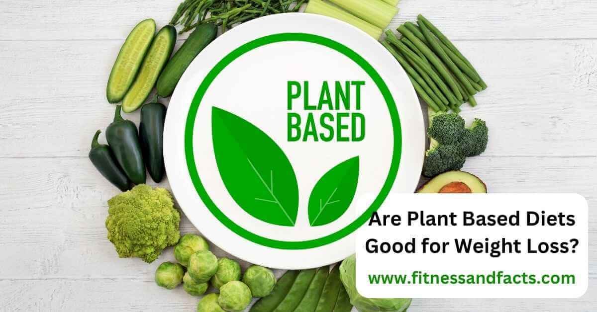 ARE PLANT BASED DIETS GOOD FOR WEIGHT LOSS? EXPLORING THE PROS AND CONS ...