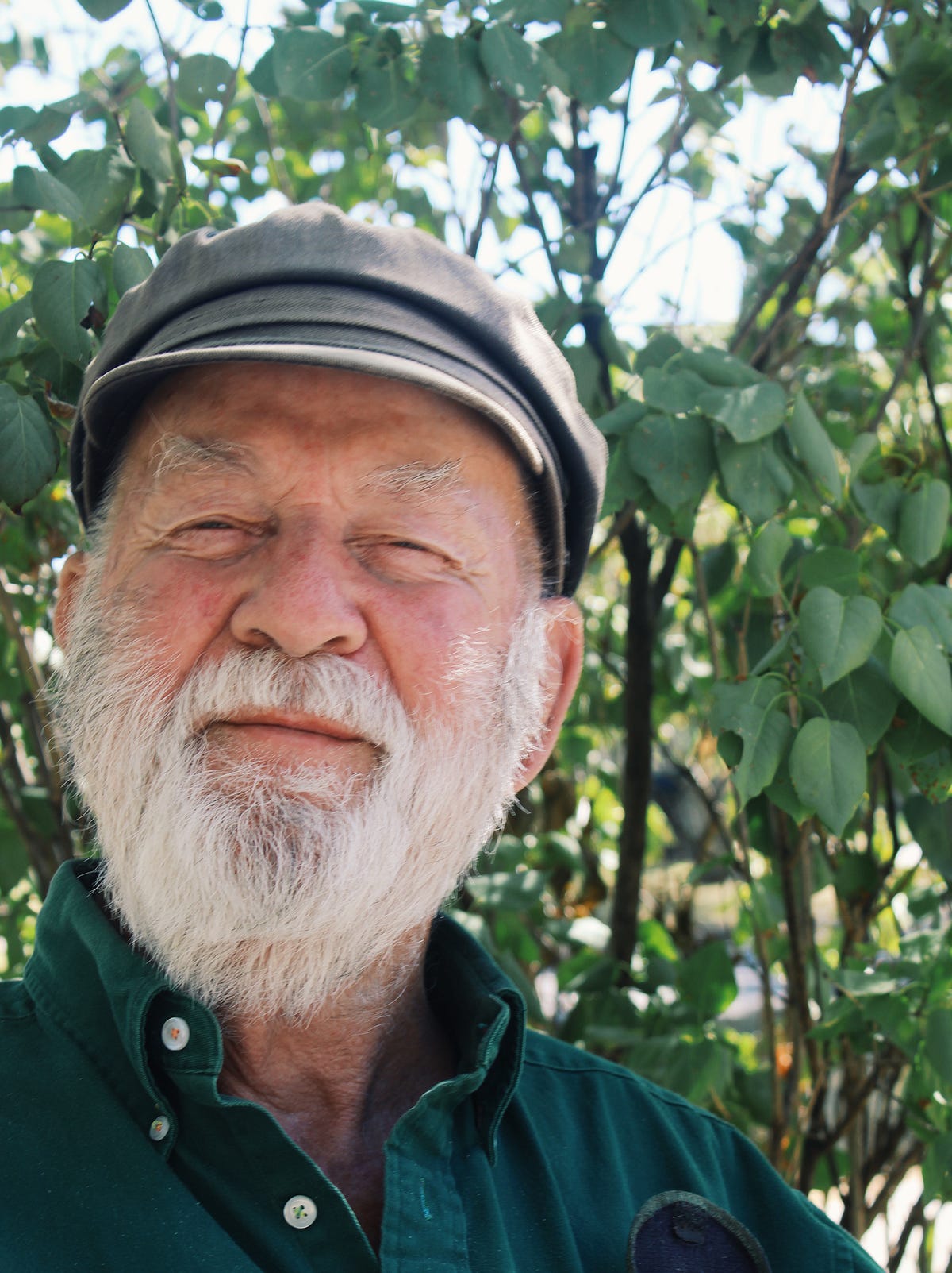 The Heartisan A Familiar Figure Approaches The Yard By Emily Werner The Heartisan A Familiar Figure Approaches The Yard By Emily Werner